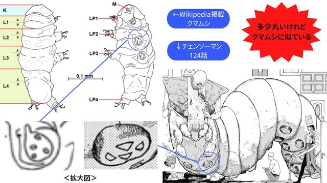 Wikipedia掲載クマムシとチェンソーマン124話登場悪魔の比較